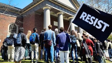 „Das ist wie ein Todesurteil für Harvard als globale Elite-Institution“