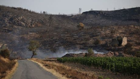 Natuurbrand in Frankrijk breidt minder snel uit, maar nog niet onder controle