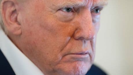 Hollywood wants Trump to help bring jobs back - but not through tariffs