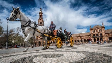 Un caballo desbocado arrolla a tres personas en Sevilla, entre ellas un bebé