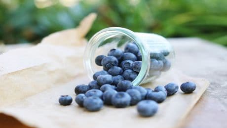 Heidelbeeren: Nur diese Sorte schützt Ihre Zellen wirklich