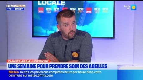 Planète Locale du mercredi 28 mai - Une semaine pour prendre soin des abeilles