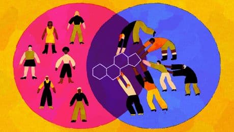 The testosterone theory of politics
