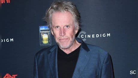 "War keine zufällige Berührung": Schauspieler Gary Busey bekennt sich schuldig
