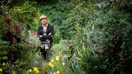 Jardin : pendant vos vacances, visitez des trésors botaniques !