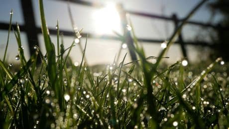 Millions Of UK Gardeners Warned To Stop Using This Watering Technique By Friday