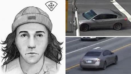 ‘Absolutely bewildering’: Senior severely beaten by man after Ontario crash