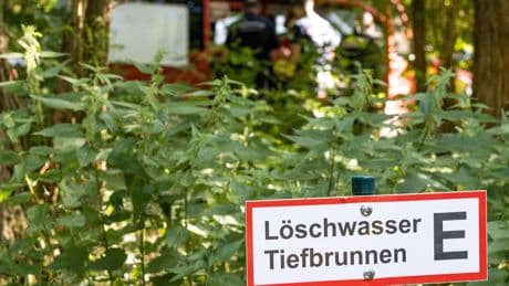 Wetter: Waldbrandgefahr steigt wieder in Brandenburg