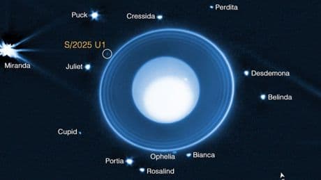 New moon discovered orbiting icy planet