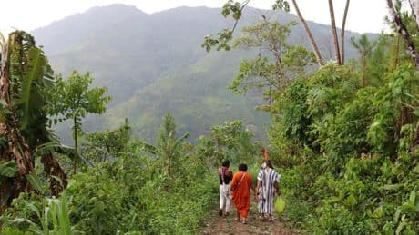 Scientific study suggests destruction of the Amazon rainforest directly impacts human health