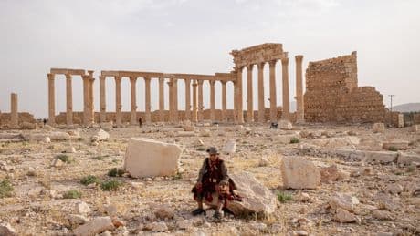« Elle ne vit que grâce à son oasis et au tourisme » : en Syrie, le destin de Palmyre suspendu à la reprise de son agriculture