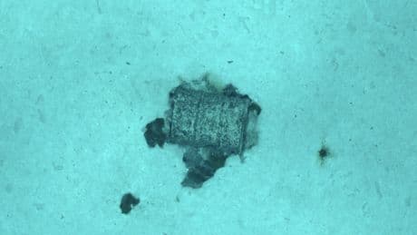 Plus de 3 300 fûts de déchets nucléaires repérés en Atlantique Nord