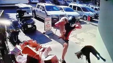 Kediye tekmeye gözaltı
