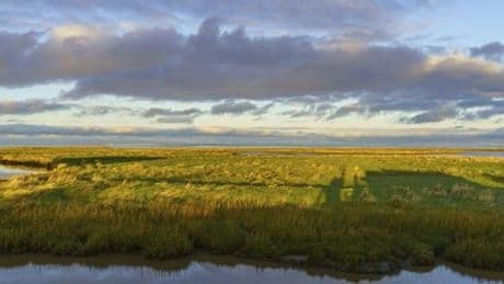 Wangerooge: Nordseeinsel erhält Bewerberflut für Bürgermeisteramt