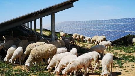 Paso adelante del mayor parque fotovoltaico vasco, que impulsa Iberdrola