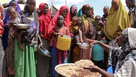 UN report reveals alarming rise in Africa's food insecurity despite global improvements