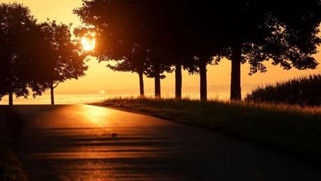 Wettervorhersage: Wetter lädt zu Ausflügen ein - nachts wird es frisch