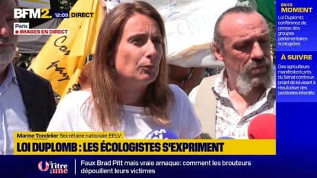Écologie : Marinte Tondelier dénonce une "récréation de 3 semaines de n'importe quoi" à l'Assemblée