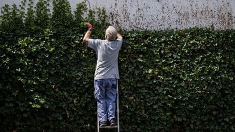 Streitschlichtung: Streitende Nachbarn - Tausende Opfer jedes Jahr
