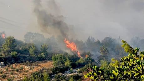 Mersin Silifke’de orman yangını