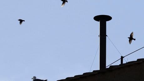 Geen witte rook: kardinalen nog niet eens over nieuwe paus