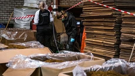 Douane onderschepte vorig jaar veel meer illegale sigaretten: 217 miljoen