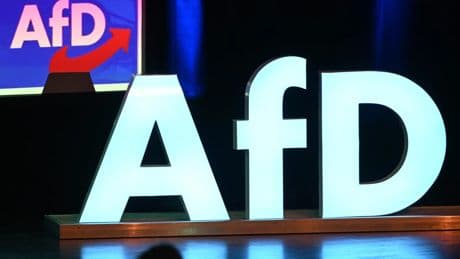 AfD demanda a la agencia de Inteligencia de Alemania por calificar al partido como grupo &quot;extremista&quot;