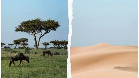 When The Sahara Was Green By Martin Williams — Review