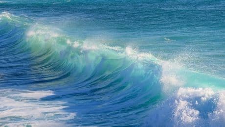 El descenso del oxígeno en los océanos amenaza a las poblaciones de peces de aguas profundas