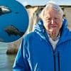 Sir David Attenborough's new film Ocean earns a huge £2.5million at the global box office - becoming the highest grossing documentary of 2025 in landslide achievement