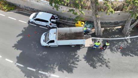 Encuentran los cadáveres de seis perros en un contenedor en Gran Canaria