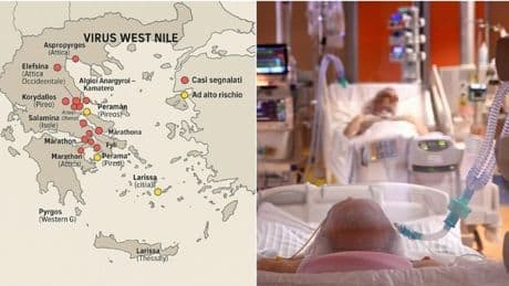 West Nile, casi in aumento in Grecia: la mappa dei contagi e tutte le zone a rischio elevato
