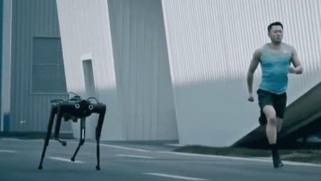 Robot köpek 100 metreyi 13 saniyede koşarak rekor kırdı