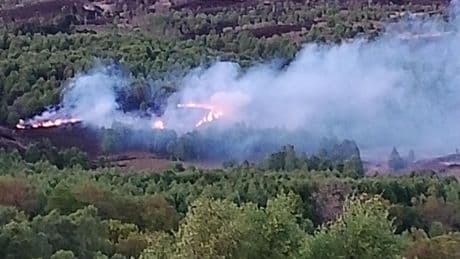Wildfire warning after disposable barbeque blamed for massive blaze