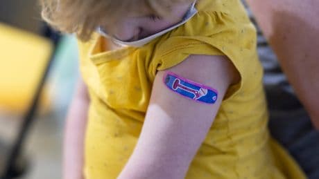 Takeaways From the White House’s ‘Make America Healthy Again’ Report