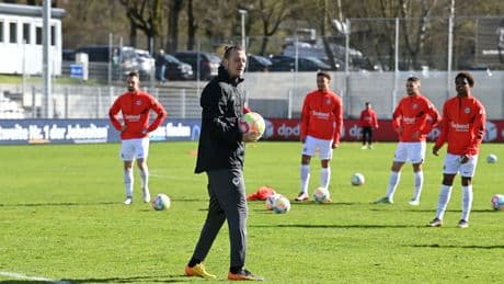 Eintrachts neuer U19-Trainer - Warum Meier bei Glasner hospitiert
