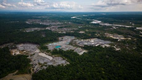 Colombia reports 33% drop in deforestation in early 2025, with major progress in Amazon parks