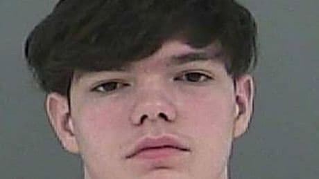 Man pleads guilty to killing his mum with her own gun after she took away his phone