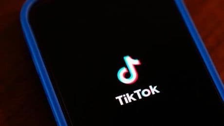 « Vous avez allumé un incendie » : les responsables de TikTok s’expliquent devant les députés