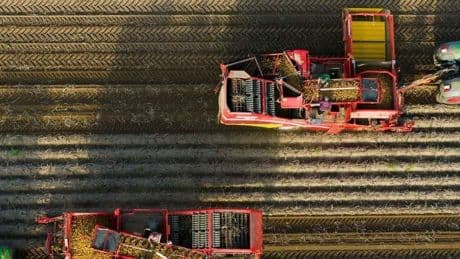 Dax-Konzern: Bayer setzt auf neuen Unkraut-Vernichter: Gleiches Geschäftsmodell, andere Wirkungsweise als Glyphosat