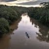 Afgelopen jaar 4 procent meer bos gekapt in Braziliaanse Amazonewoud