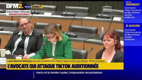 "Elle n'est pas là aujourd'hui": au Sénat, l'avocate Laure Boutron-Marmiron alerte alerte sur les conséquences de TikTok sur les jeunes