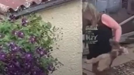 Scots dog sitter filmed dragging hounds by neck hit with animal care warning