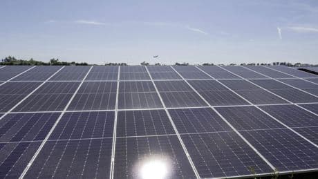 Thriller zonnepark naar nieuw dieptepunt: Schiphol wil alle panelen weg, ruziet met eigenaar om schadevergoeding