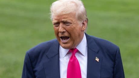 Critics Burn Trump For Bragging He Knows More Than 'Any Human Being' On 1 Weird Topic