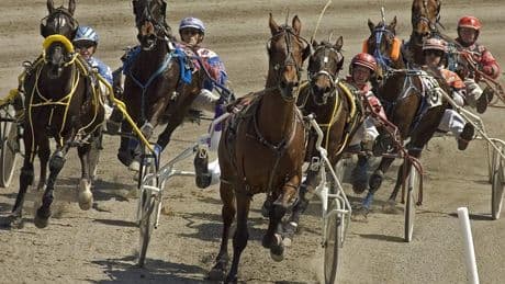 Child killed after being hit by starting gate at horse race in New Brunswick