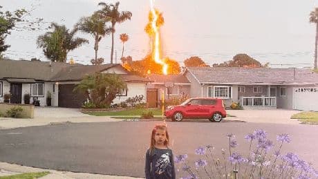 Terrifying moment lightning bolt strikes trees just metres from girl, 6, sending screaming kids scrambling for shelter