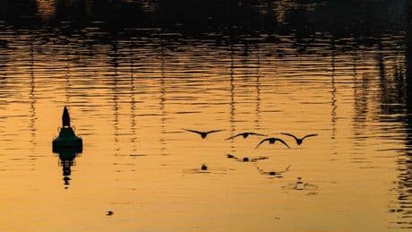 Wetter: Sonniges Wetter für Hessen erwartet
