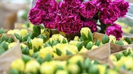 Çiçek sektörü, ihracatı artırmak için dünyayı dolaşıyor