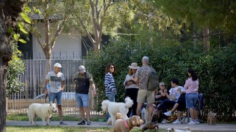 Animales demasiado humanos